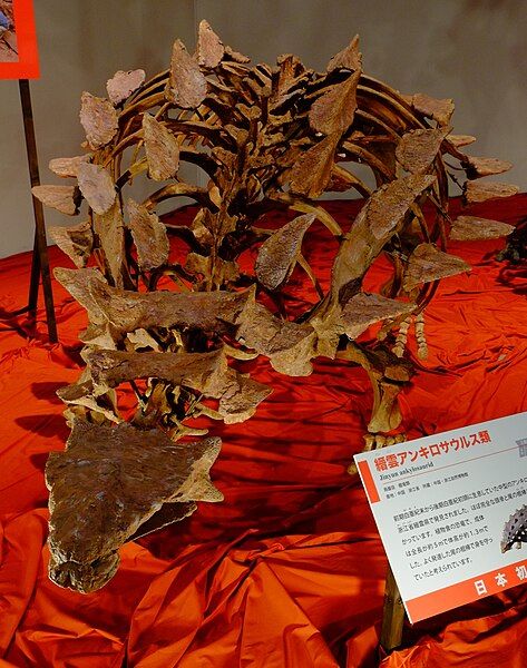 File:Jinyun ankylosaurid.jpg