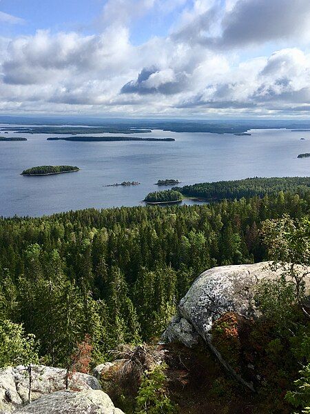 File:Koli 2019 2.jpg