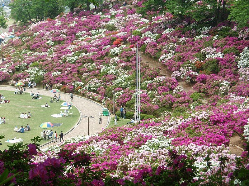 File:Nishiyama Park.JPG