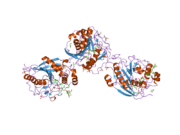 2aec: Crystal Structure of Human M340H-Beta1,4-Galactosyltransferase-I (M340H-B4GAL-T1) in Complex with GlcNAc-beta1,2-Man-alpha1,6-Man-beta-OR