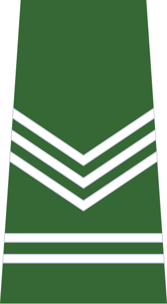 File:ROTU-Army-Int-Sgt.svg