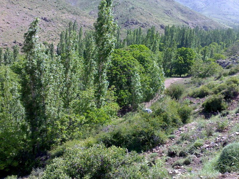 File:Susahab Nature2.jpg