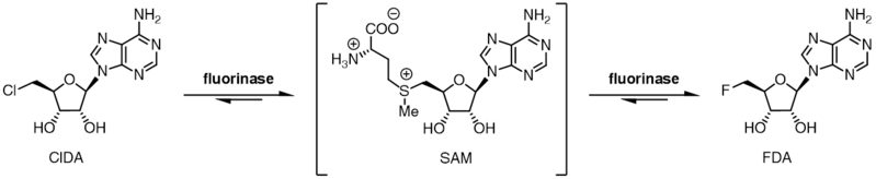 File:Transhalogenation.png