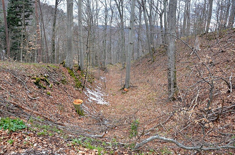 File:Wallgraben, Burg Gräbelesberg.jpg