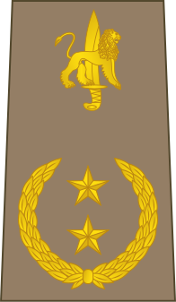 File:14-ROCongo Army-BG.svg