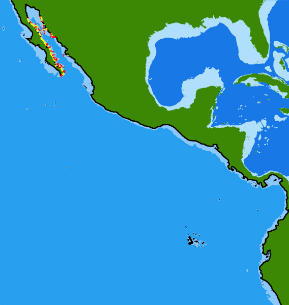 File:Acanthemblemaria crockeri range.png