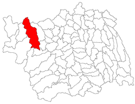 Location in Bacău County