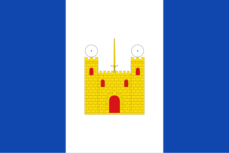 File:Bandera de Codo.svg