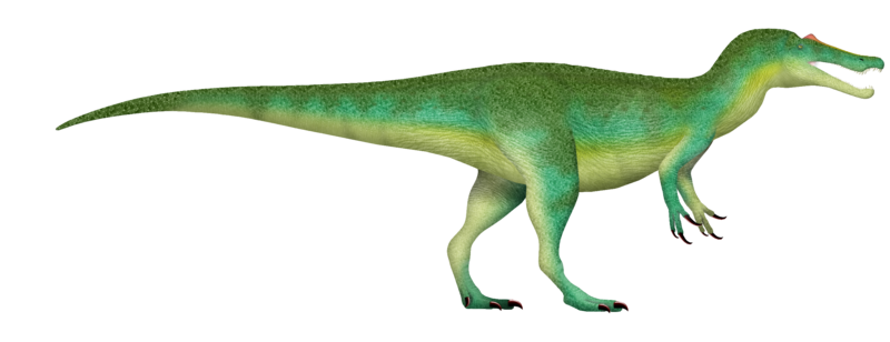 File:Baryonyx UDL.png