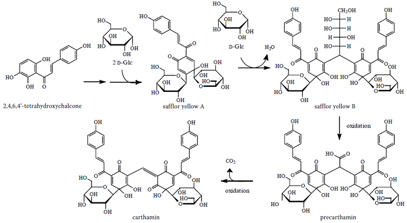 File:Carthamin proposed biosynthesis.png