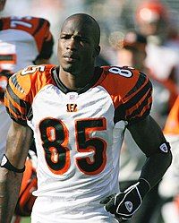 Johnson with the Bengals in the 2007 season