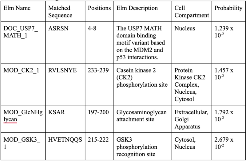 File:ELM Motifs.png