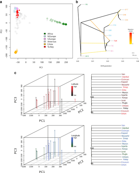 File:Figure 2 Alkan.png