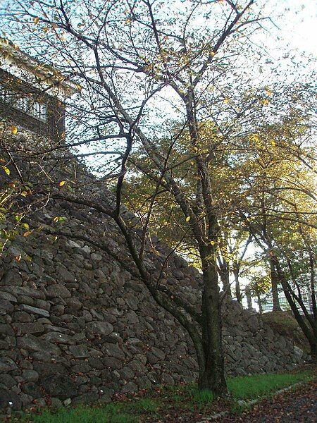 File:KAMEYAMA-castle Watchtower Kameyama,Mie.jpg