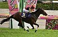 2023 Yushun Himba (Oaks)