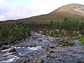 The Luibeg Burn at the Robber's Copse