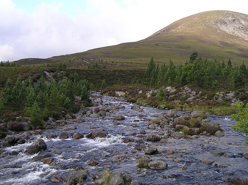 File:Luibegburn robbers copse.jpg