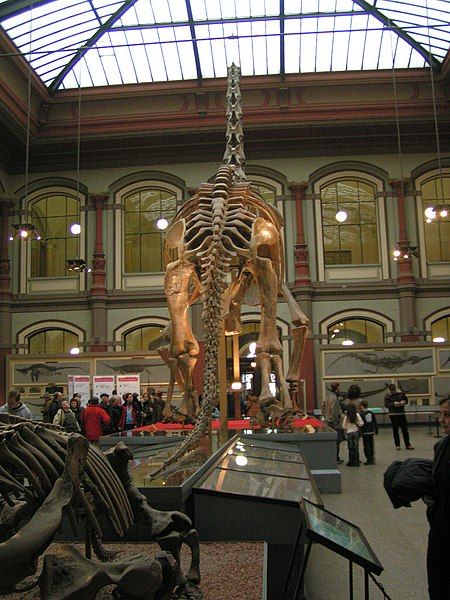 File:Naturkundemuseum Berlin.jpg