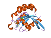 2ffq: The crystal structure of human neuronal Rab6B in its active GTPgS-bound form