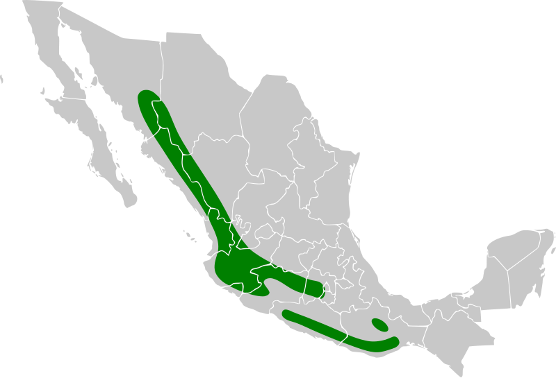 File:Piranga erythrocephala map.svg