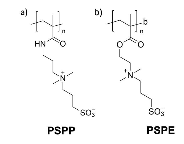 File:Polysulfobetaine wikipedia.png