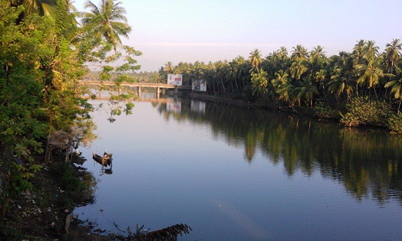 File:Purakkittiri River, Thalakkulathur.jpg