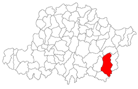 Location in Arad County