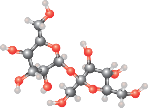 File:Sucrose molecule.svg