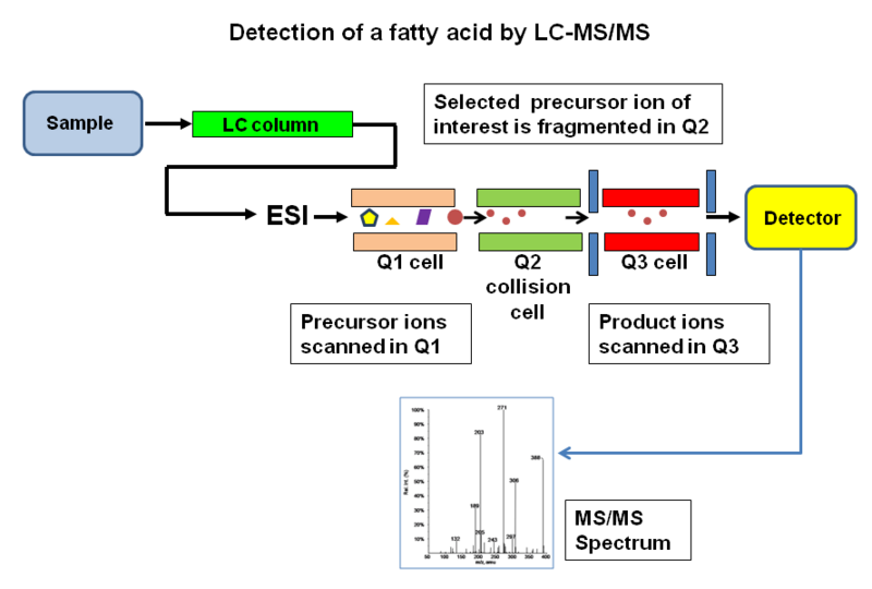 File:Tandem ms.png