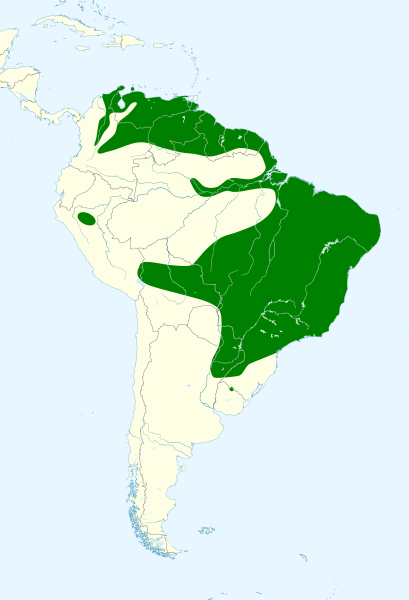 File:Turdus leucomelas map.svg