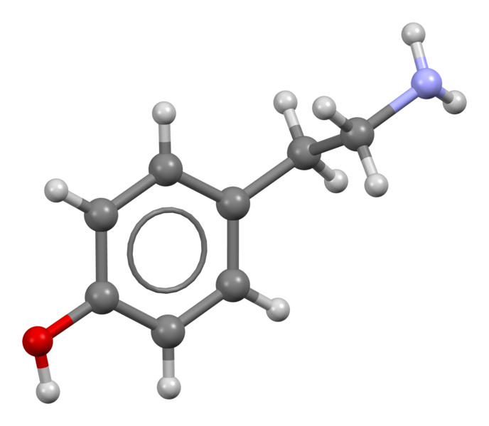 File:Tyramine-neutral-from-xtal-view-1-3D-bs-17.png