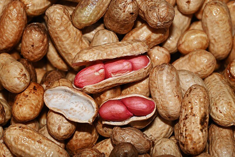 File:Valencia peanuts.jpg