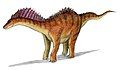 Amargosaurus