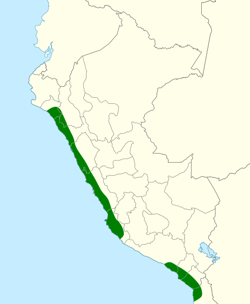 File:Anthus peruvianus map.svg