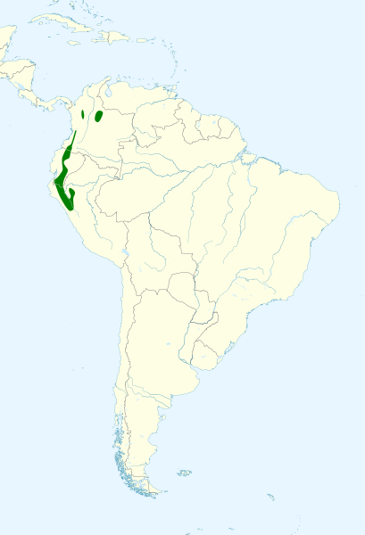 File:Atlapetes latinuchus map.svg