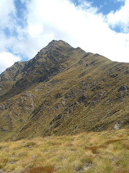 File:Ben-Lomond-mountain.jpg