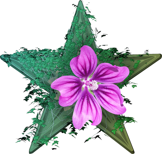 File:Botany Barnstar 3.png