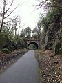 A tunnel to the west of the station.