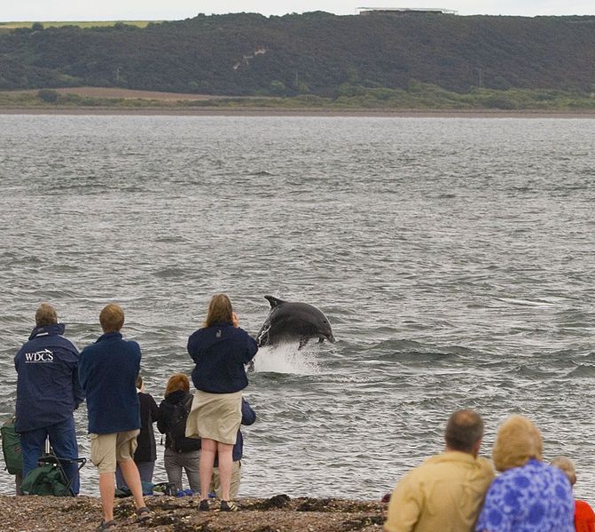 File:Chanonry Point2006-08.jpg