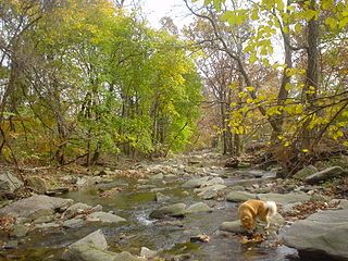 At Cobbs Creek