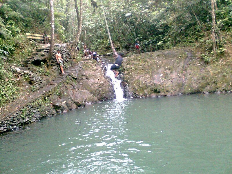 File:Colo-i-Suva rope-swing.jpg