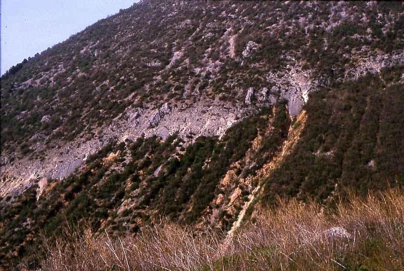 File:Coseismic surface faulting.jpg