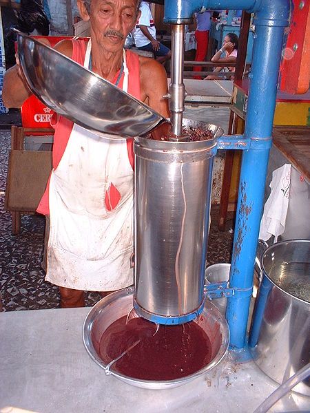 File:Despolpando açai.jpg