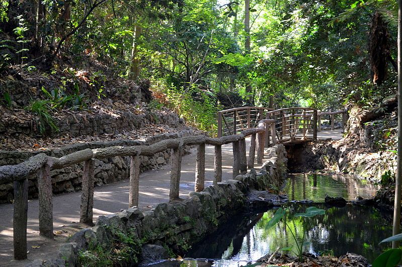 File:Ferndell griffith park.jpg