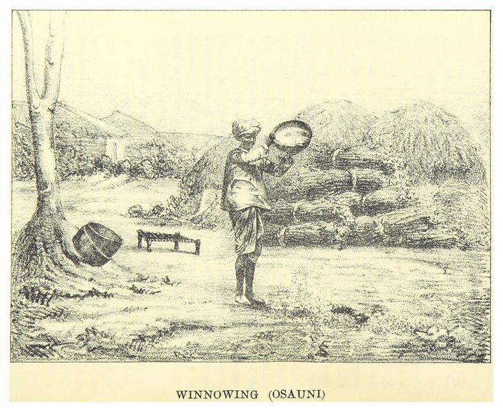 File:GRIERSON(1885) p296 WINNOWING.jpg