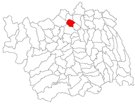 Location in Bacău County