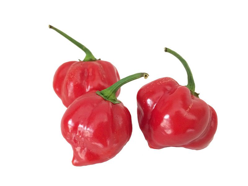 File:Habanero pepers.jpg