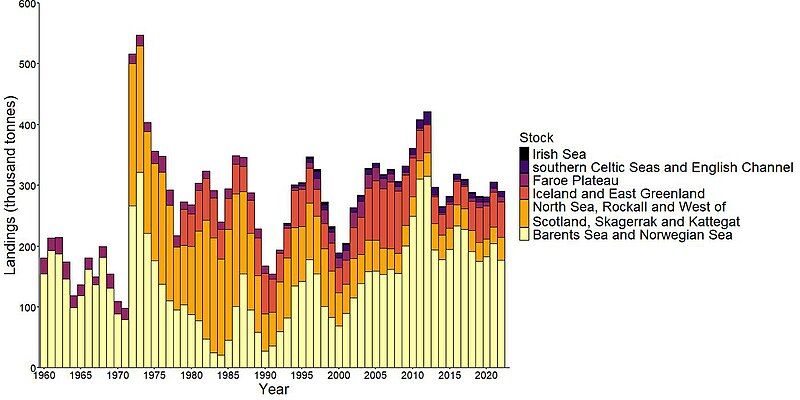 File:Haddock landings east.jpg