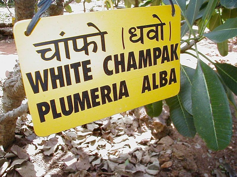 File:India Goa TSKKgarden.jpg