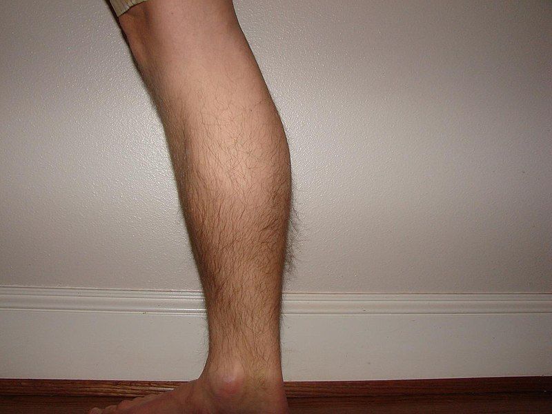 File:Kaleb's calf.JPG